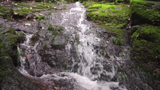 溪流-小河-水流-青苔自然生态