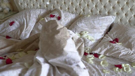 床上用品装饰着玫瑰花瓣