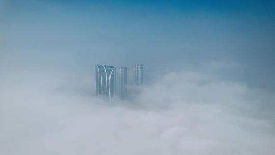 大雾 城市平流雾 仙境