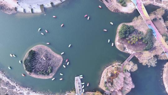 航拍公园 公园湖 划船