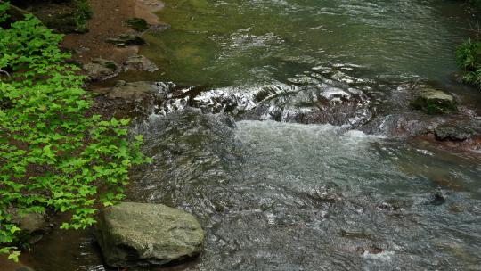 自然户外宁静溪流小河水流潺潺流水
