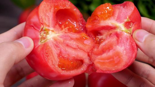 普罗旺斯西红柿    沙瓤西红柿