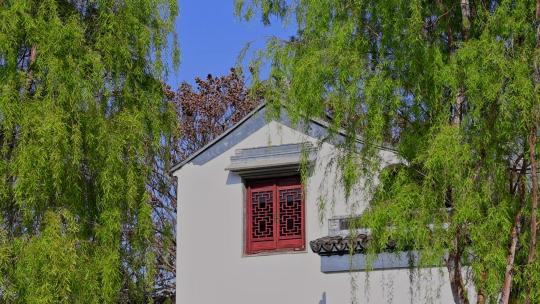 夏天中式建筑屋檐柳枝园林古风