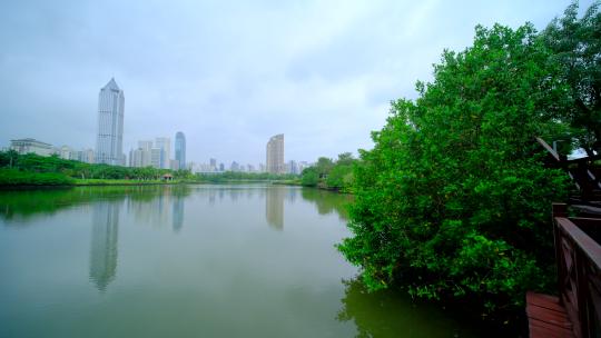 海南海口市区城市风光