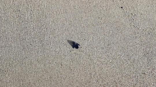 2041_把“爱”字写在沙滩上