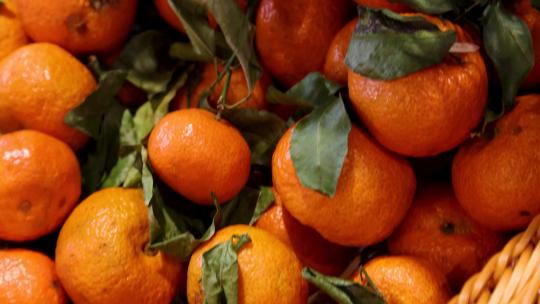 超市货柜里的水果沃柑橘子