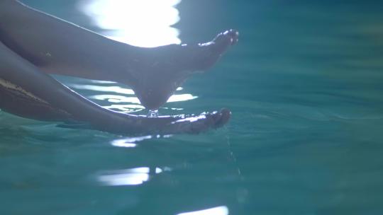 美腿柔美女性柔情似水视频素材模板下载