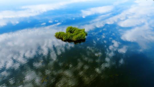 宁夏同心县蓝天白云湖水草