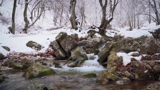 冬季森林溪水流淌积雪枯木