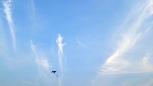 风筝在蓝天白云下迎风飞翔