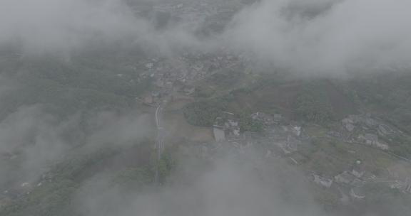 大自然森林茶园村庄云雾大山云海