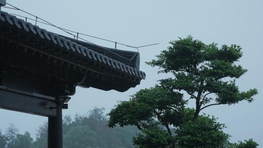 雨天的传统古建筑江南古风年年红红木小镇