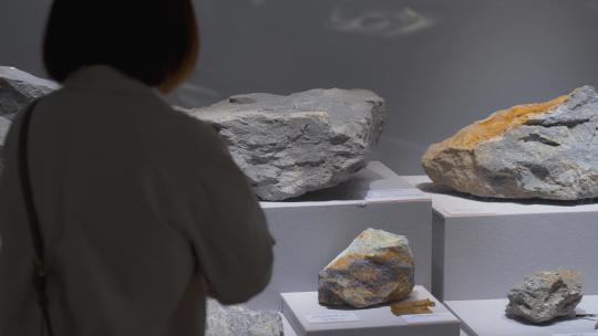 地质博物馆石头展览展示视频素材模板下载
