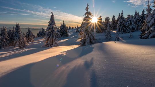 延时拍摄冬日森林中的日落视频素材模板下载