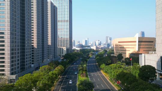 浙江省温州市世纪广场城市环境 合集视频素材模板下载