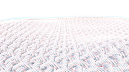 抗菌布料透气排汗