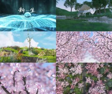 房地产春天小树发芽樱花生长C4DAE工程高清AE视频素材下载