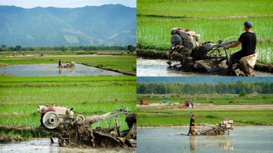 4K农民开拖拉机耕地高清在线视频素材下载