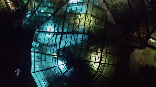 广州华南植物园唯美植物灯光夜景航拍4K视频