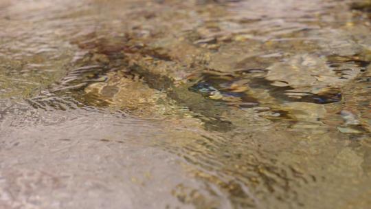 清澈的河水-溪流-水资源视频素材模板下载