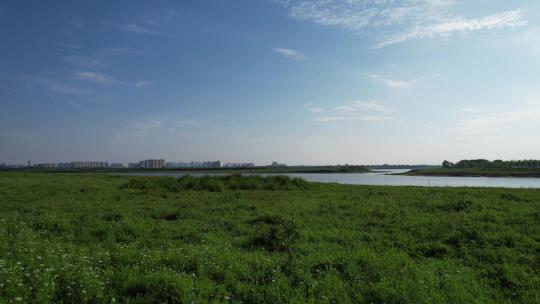 湿地公园草海