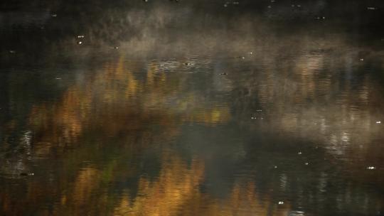 杭州九溪秋天早晨飘着雾气的水面