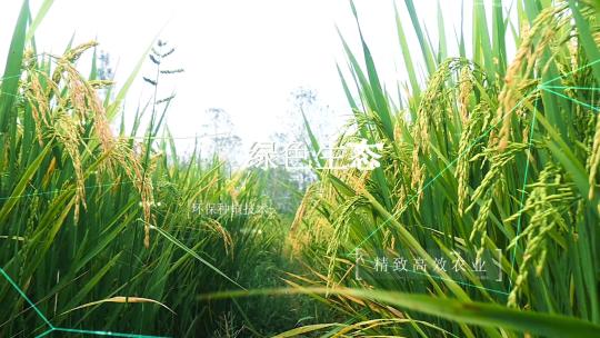 现代农业智慧农业合集