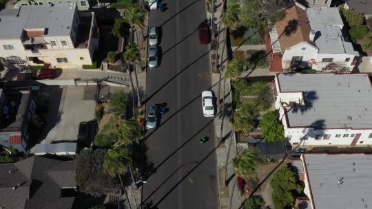 棕榈树林立的街道视频素材模板下载