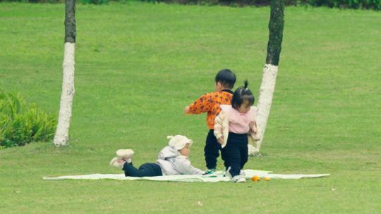 公园草坪玩耍