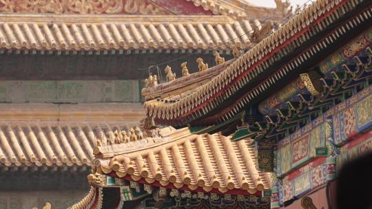 北京故宫博物院屋顶视频素材
