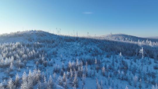 航拍4K大兴安岭黎明林海雪原