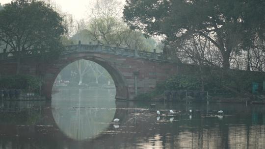 杭州西湖清晨的小桥上有锻炼的行人桥下水鸟