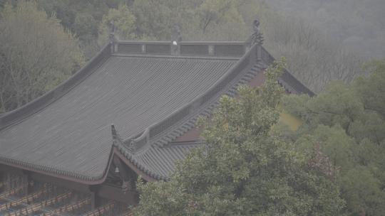 上天竺法喜讲寺实拍素材