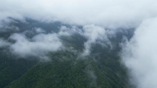 山间云雾，云雾缭绕的山，雨后的山高清在线视频素材下载