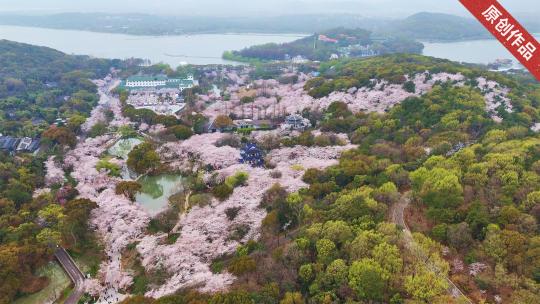 无锡鼋头渚 太湖仙岛高清在线视频素材下载