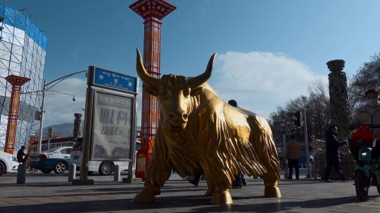 西藏旅游风光拉萨布街头金色牦牛雕塑