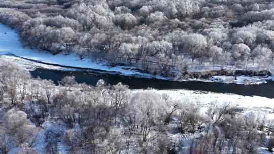 内蒙古雪原扎敦河丛林雾凇