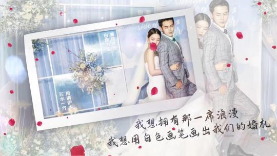 轻奢韩式婚礼电子相册MVAE视频素材教程下载