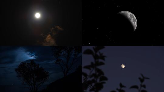 【合集】月亮树叶夜空