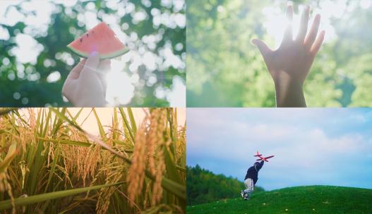 炎热夏天空镜文艺唯美清新奔跑树荫光影意境