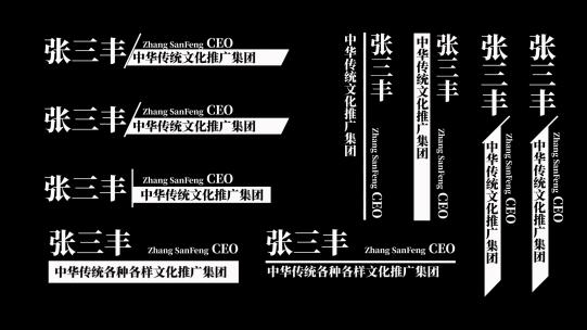 商务人名条字幕职称字幕人物介绍动画AE视频素材教程下载