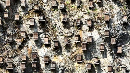 航拍湖北旅游神农架官门山悬崖蜜蜂蜂箱养蜂视频素材模板下载