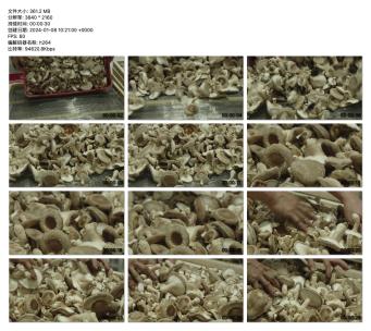 鲜蘑菇的筛选与准备：农场到餐桌的旅程高清在线视频素材下载