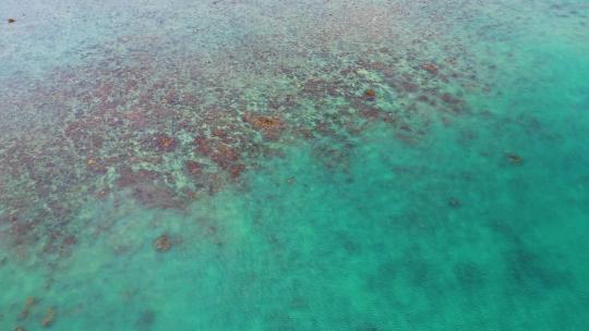 航拍海边礁石滩与浅海珊瑚区