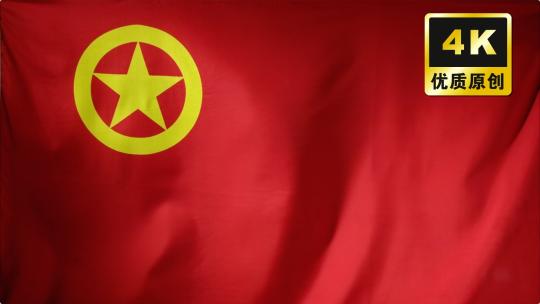 共青团 团旗 54青年节 团员团旗飘扬