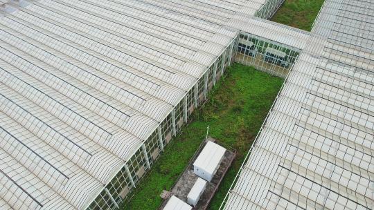 现代高科技农业大棚温室暖房热带农业基地