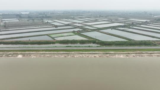 航拍武汉荆州小龙虾养殖基地