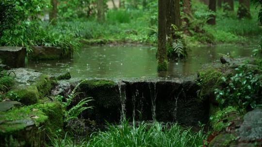 杭州虎跑下雨天绿色树林小瀑布清澈流水声