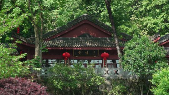 杭州三生堂 树林中的寺庙古建筑