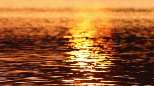夕阳下的金色水面视频素材模板下载